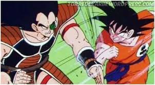 VS Raditz